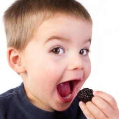 toddler eating berry