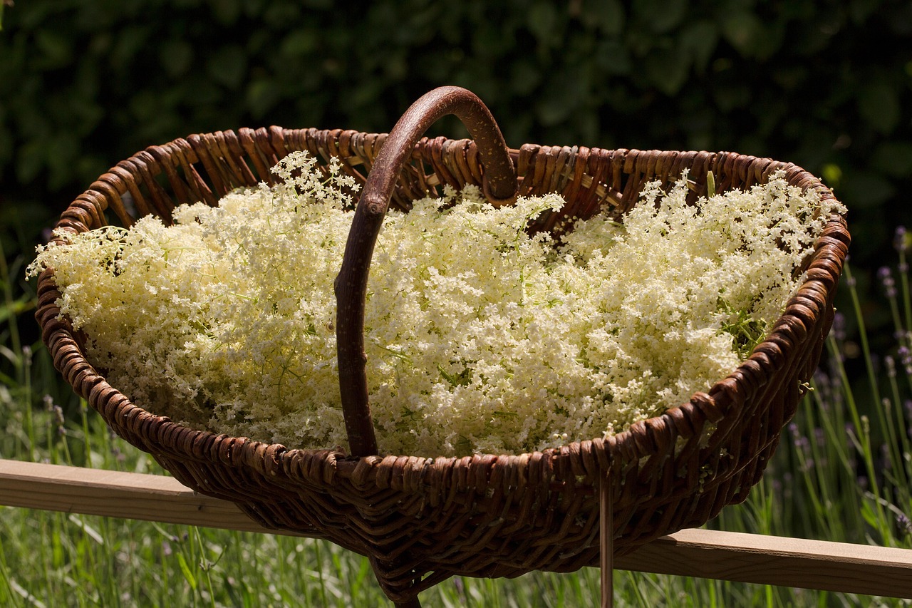 Elderflower Cordial