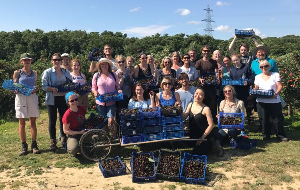 gleaning network group of volunteers