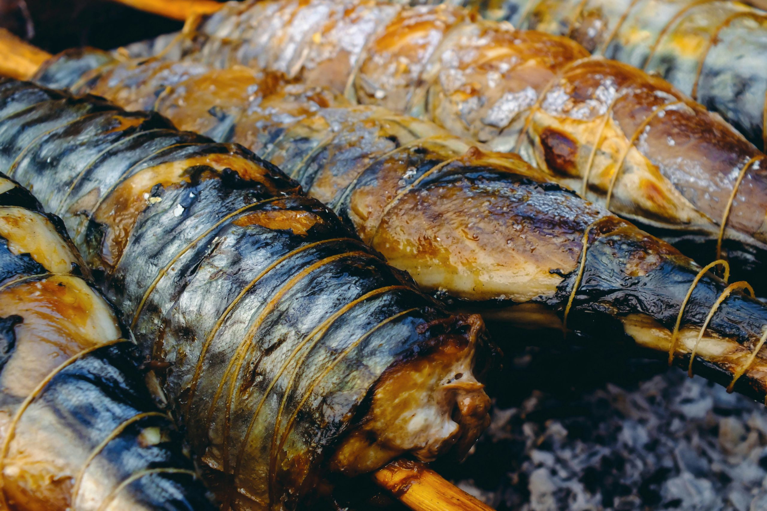 Grilled Mackerel