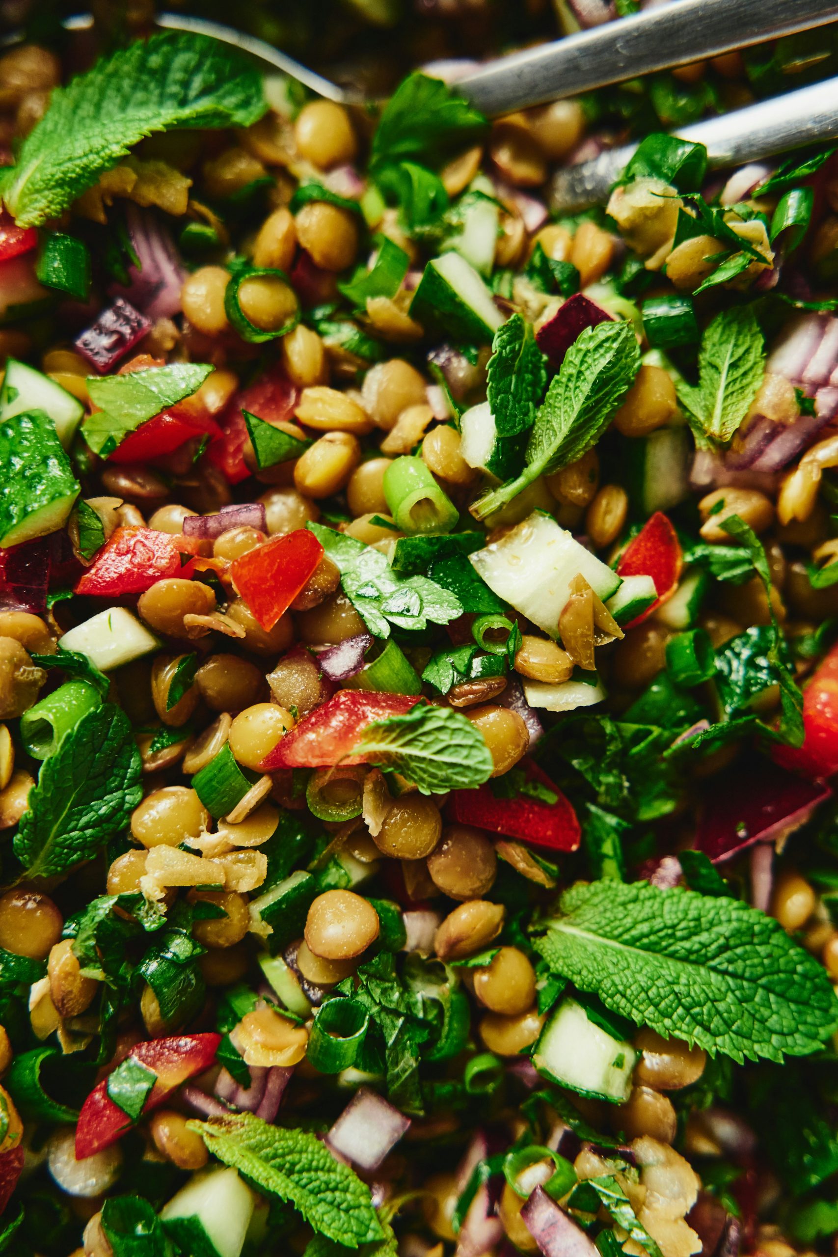 Lentil Salad