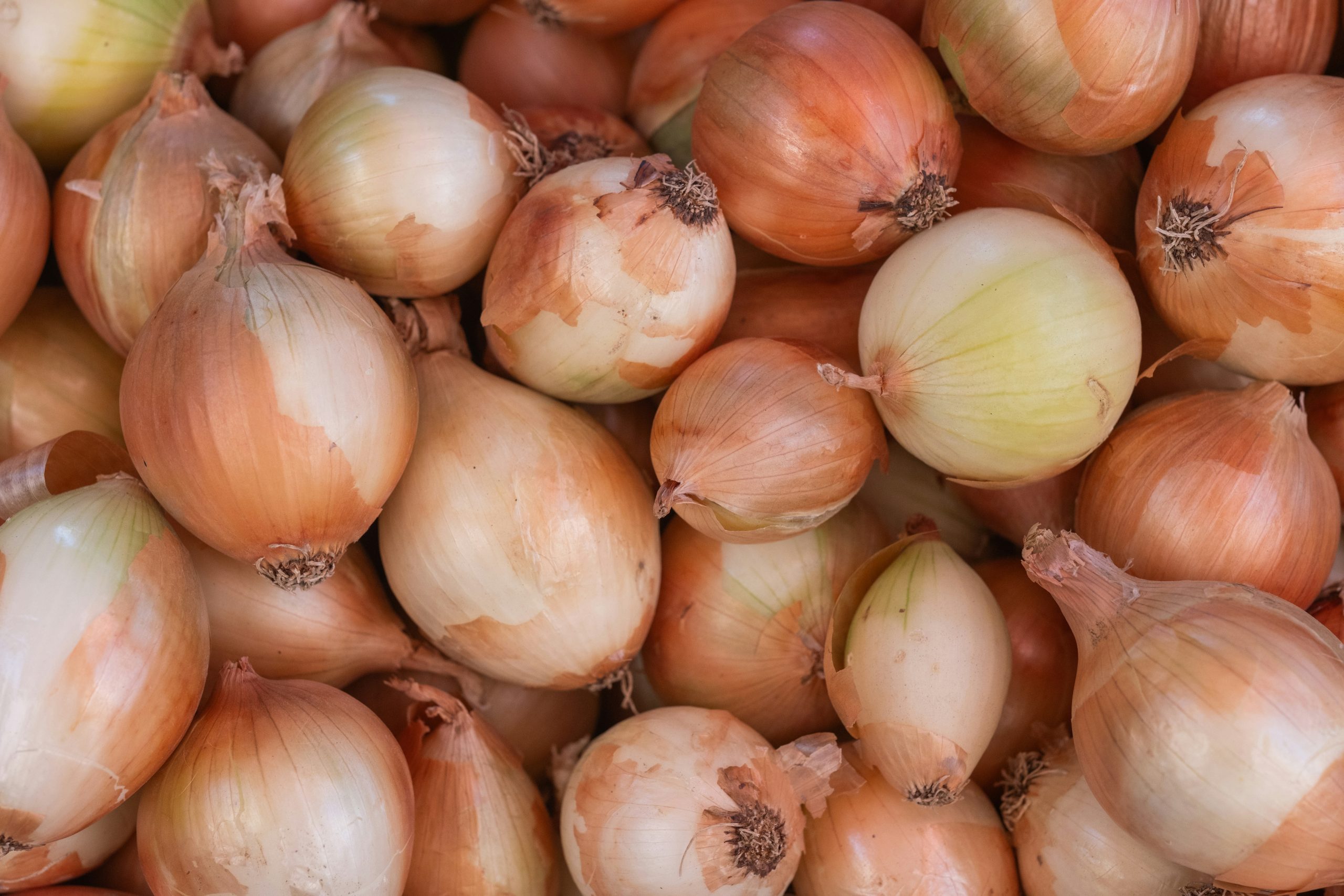 Onion Tart
