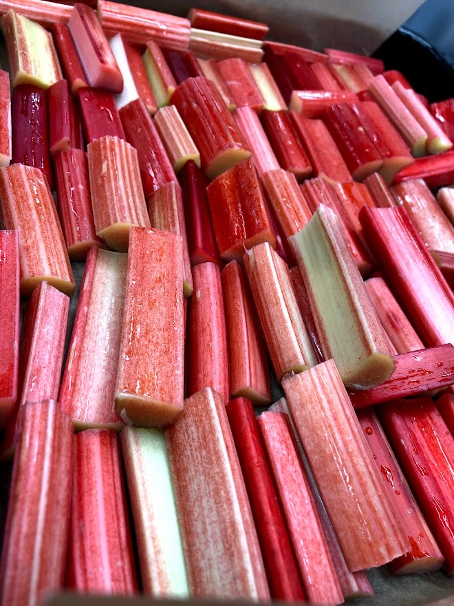 Rhubarb Fritters