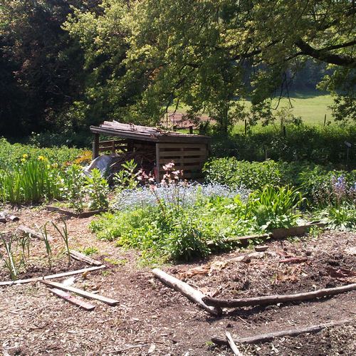 centre for ecotherapy