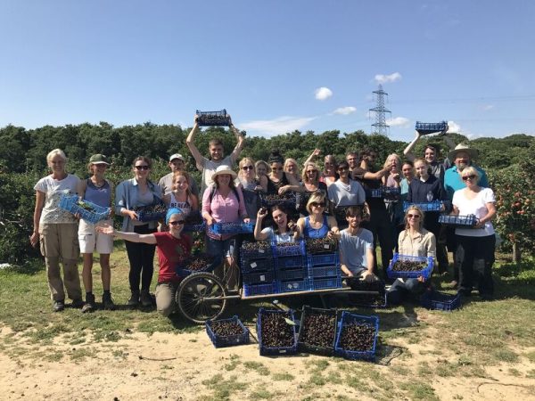 Sussex Gleaning Network