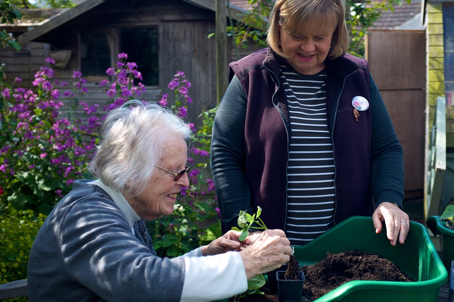 two women planting
