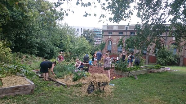 volunteers at Saunders Park community garden