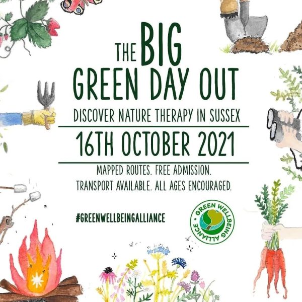 big green day out poster