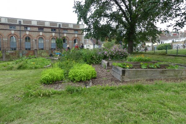 Saunders Park community garden Saunders Park community garden