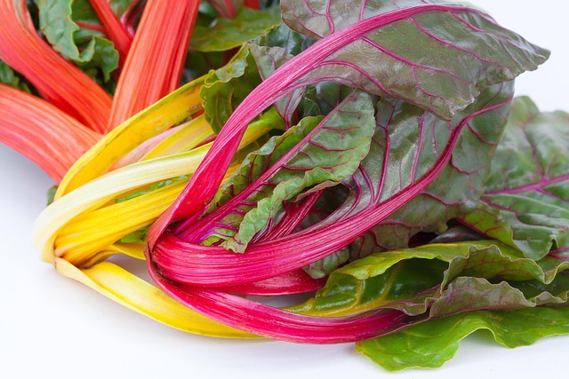 Rainbow Chard Salad