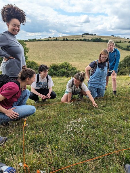 The Food Partnership learn to identify the wildflowers within a square quadrat.