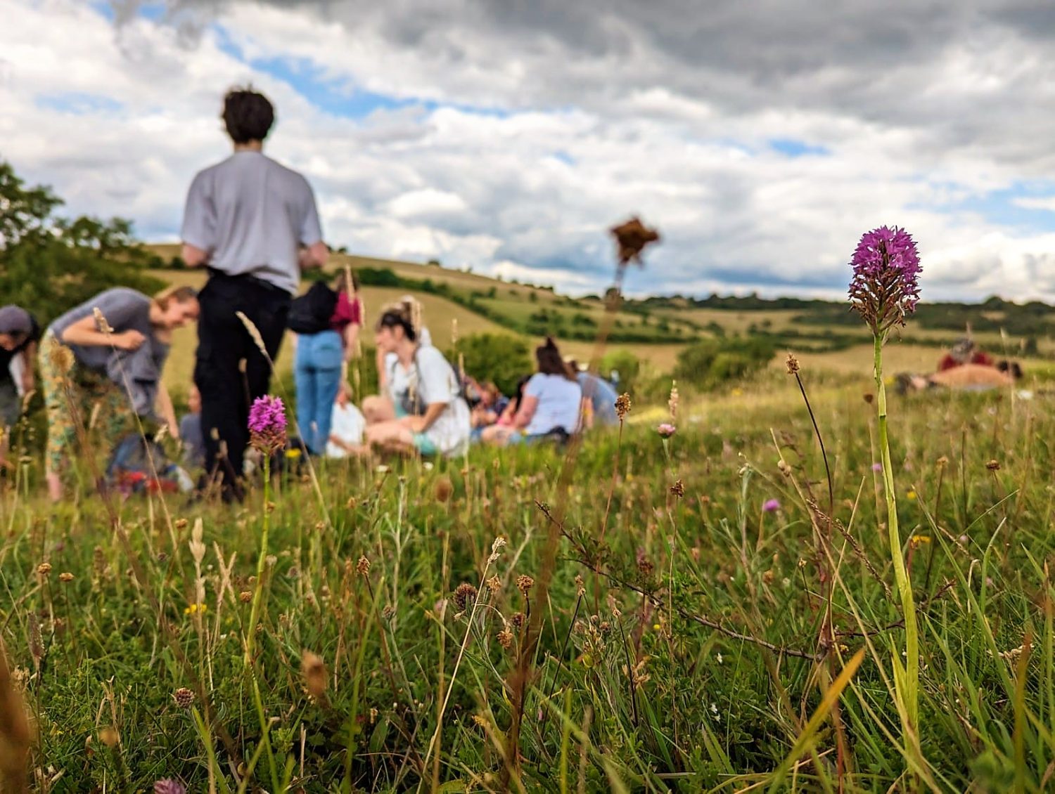 The team stand amongst a field of grass and wild purple orchids.