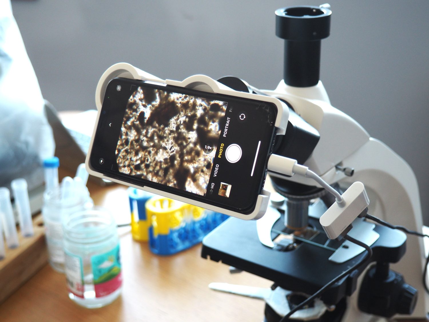 Under the microscope, the intricate communities alive in our compost are revealed.