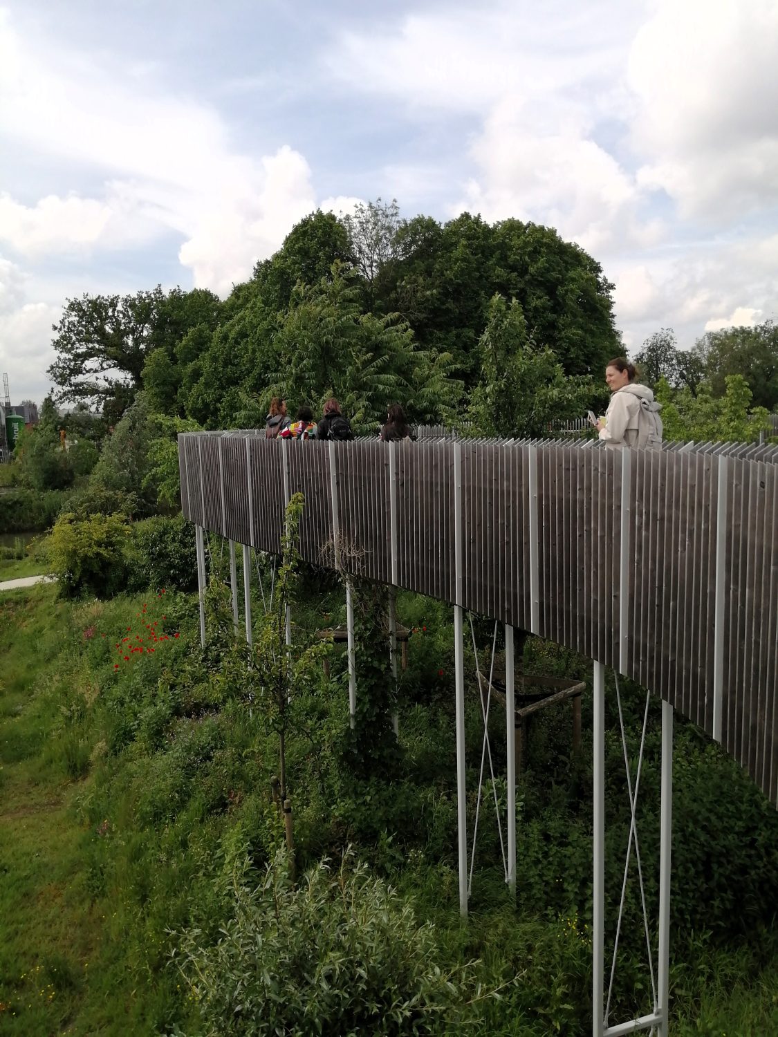 We took a walkway over a food forest, located next to a school.