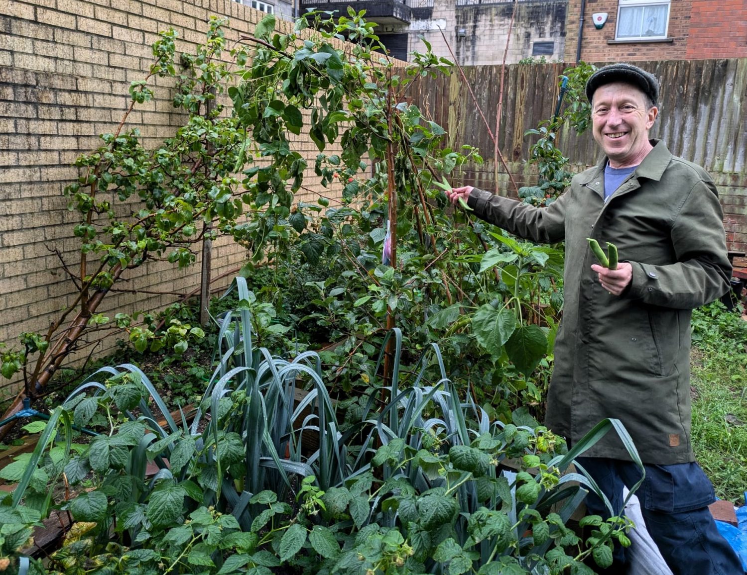 Simon smiles as he harvests broad beans from a lush raised bed on a corner of the estate.