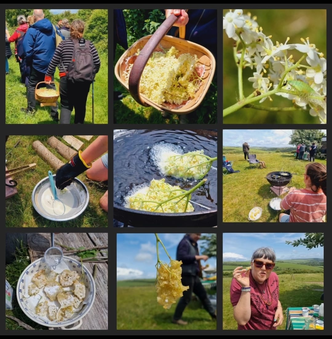 The step by step story of gathering elderflower blooms, cooking in fritters, and enjoying eating them in the sun.