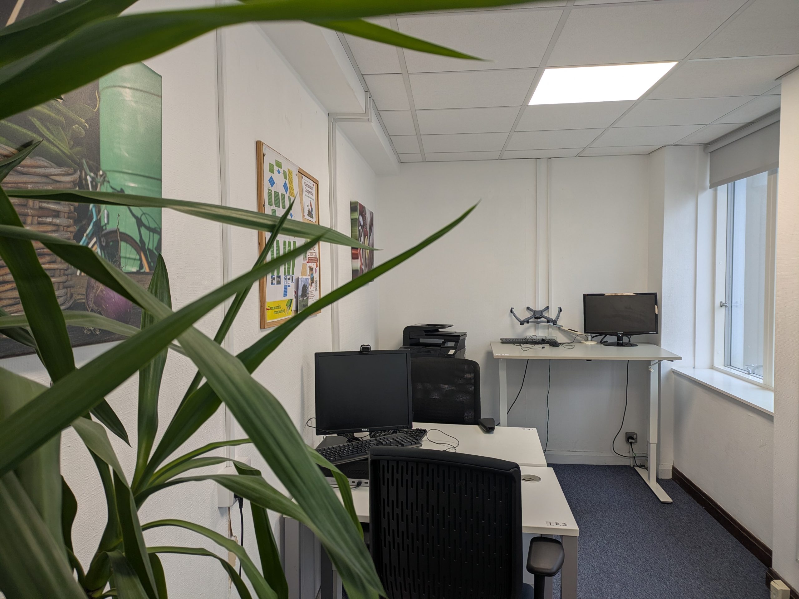 Office space with plants